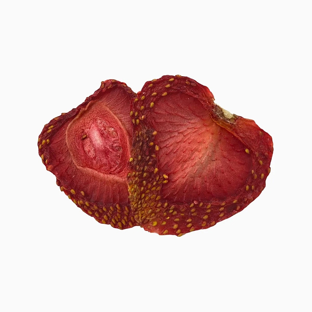 Dried Strawberry Slices