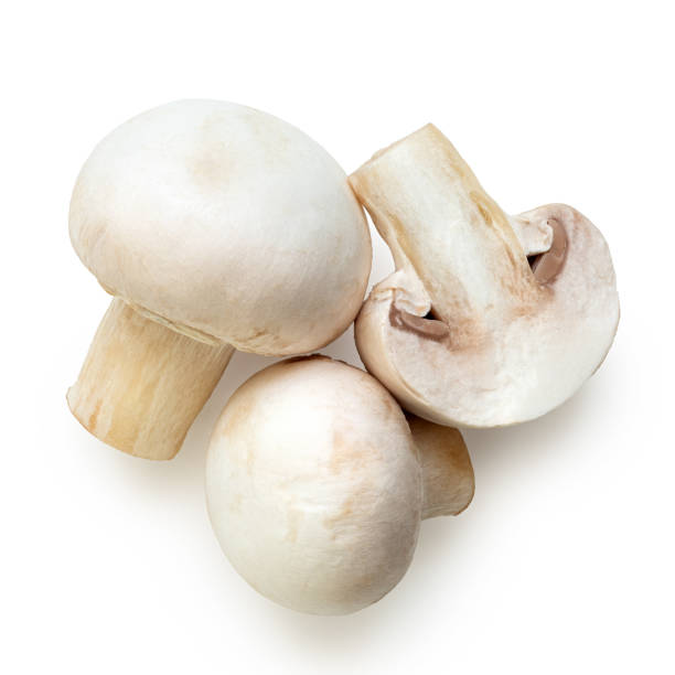 Freeze dried mushrooms